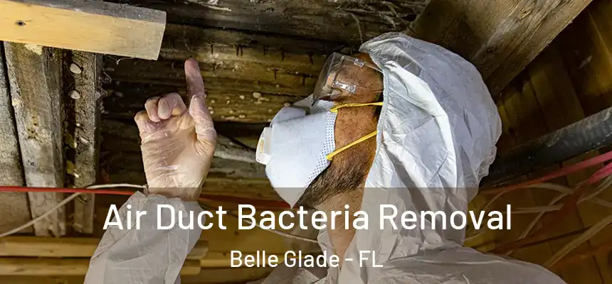 Air Duct Bacteria Removal Belle Glade - FL