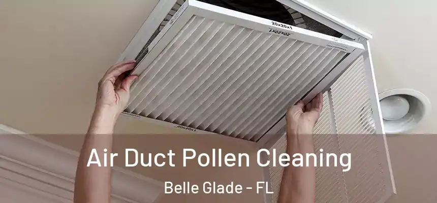Air Duct Pollen Cleaning Belle Glade - FL