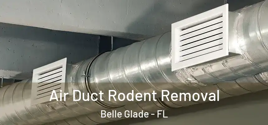  Air Duct Rodent Removal Belle Glade - FL