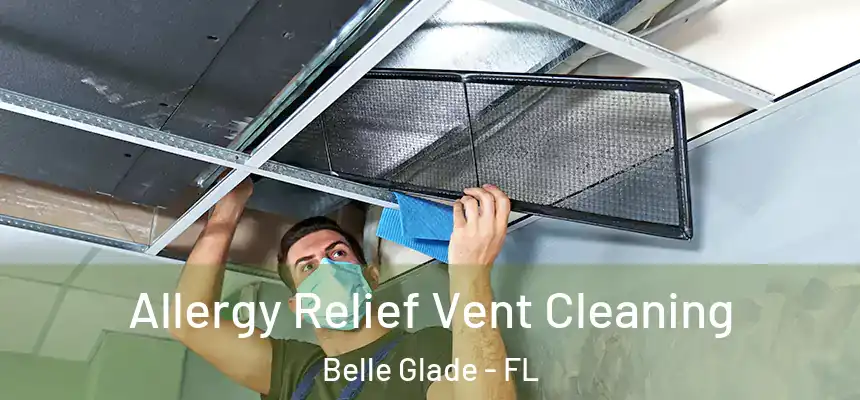 Allergy Relief Vent Cleaning Belle Glade - FL