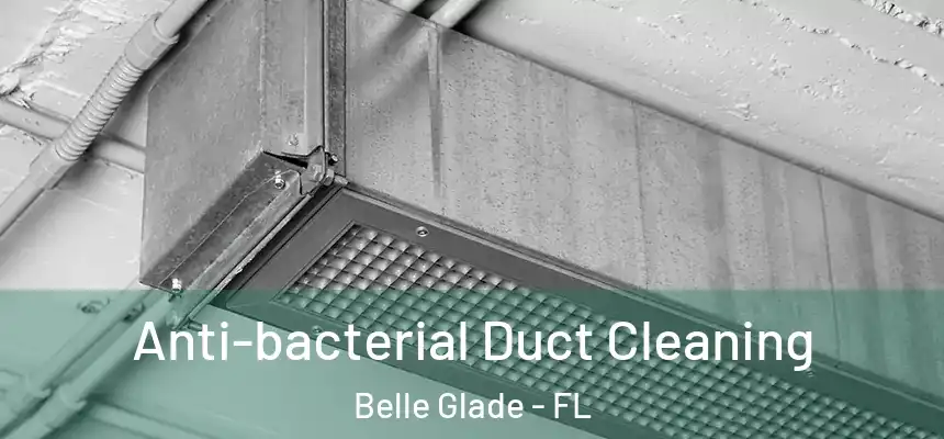 Anti-bacterial Duct Cleaning Belle Glade - FL
