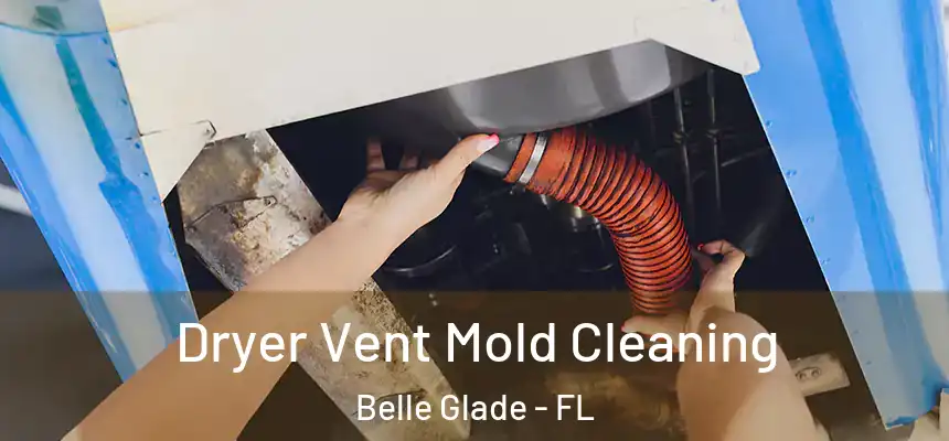 Dryer Vent Mold Cleaning Belle Glade - FL
