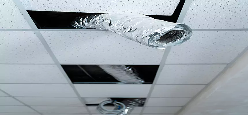 Our Air Duct Pet Hair Removal Services in Belle Glade, FL