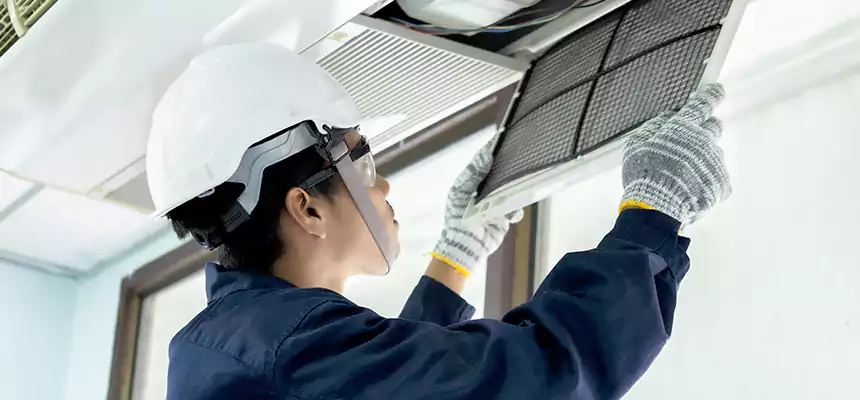 Our Mold & Mildew Removal from Air Ducts Services in Belle Glade, FL