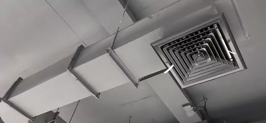 Our Pest Removal From Ducts Services in Belle Glade, FL