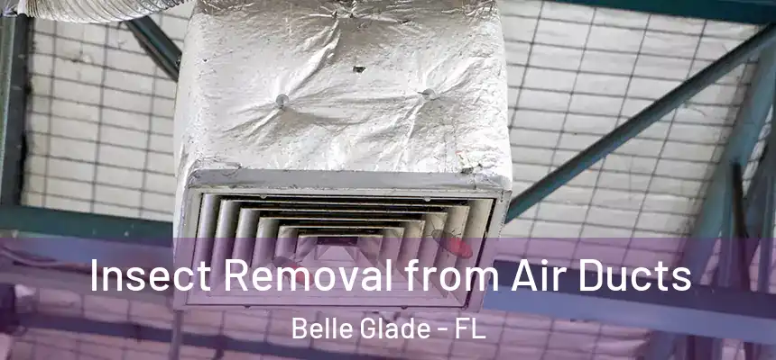 Insect Removal from Air Ducts Belle Glade - FL