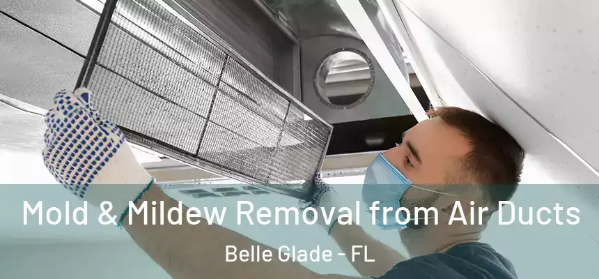 Mold & Mildew Removal from Air Ducts Belle Glade - FL