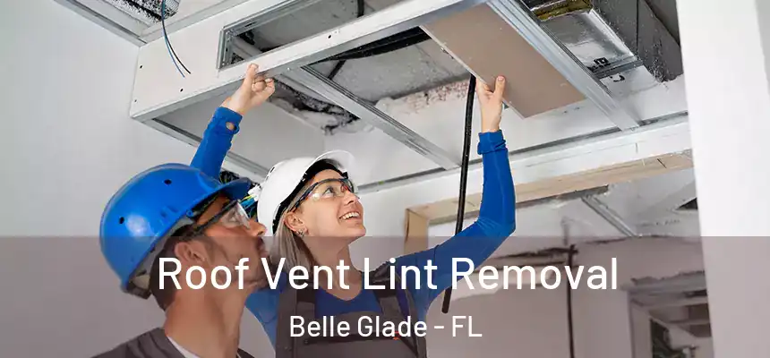  Roof Vent Lint Removal Belle Glade - FL
