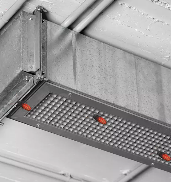 About Air Duct Cockroach Removal in Belle Glade, FL