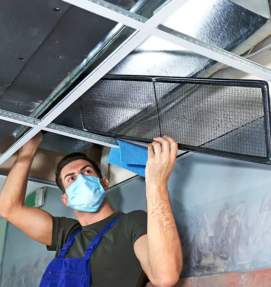 Professional Air Duct Pollen Cleaning in Belle Glade, FL