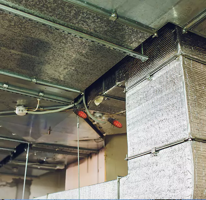 Why Homeowners & Businesses Trust Us in Belle Glade, FL?