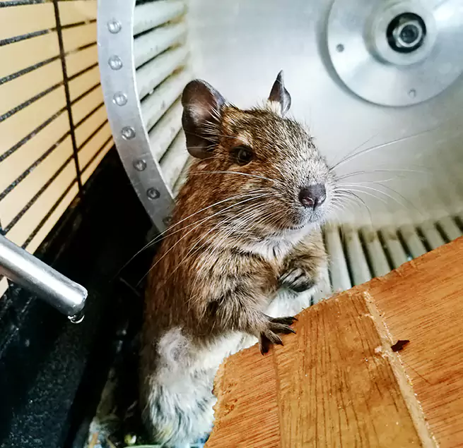 Why Homeowners & Businesses Trust Us Belle Glade, FL