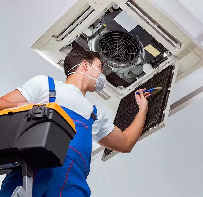 Why Homeowners & Businesses Trust Us in Belle Glade, FL