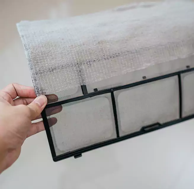 Why Homeowners & Businesses Trust Us in Belle Glade, FL?