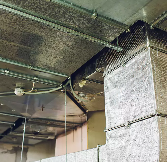 Why Homeowners & Businesses Trust Us in Belle Glade, FL?